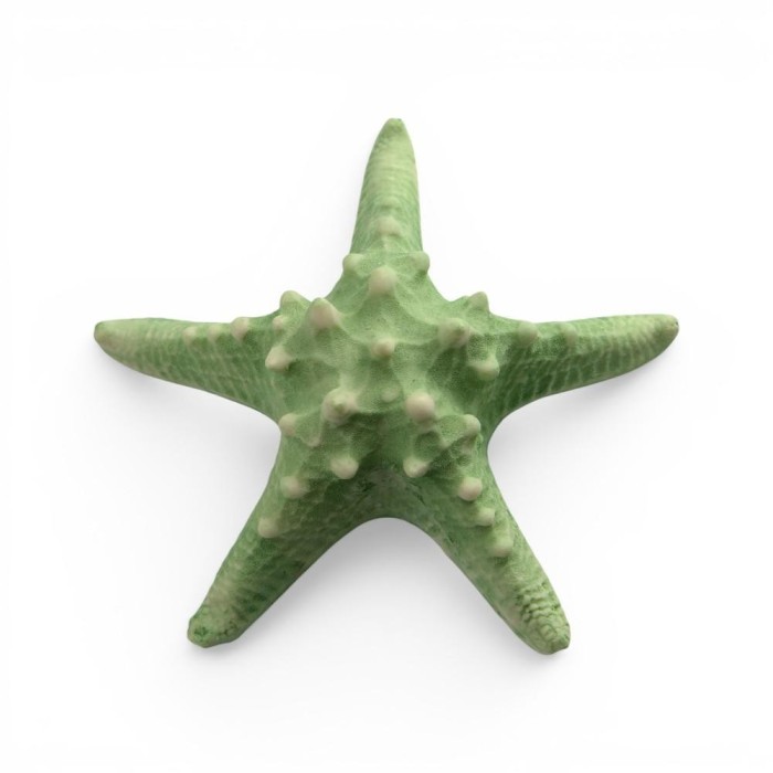 STELLA MARINA 16X16X4CM GREEN